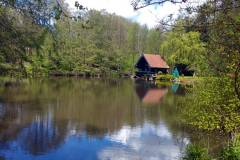 Fischteich mit Hütte bei Köppach