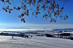 Ab heute geht es schon wieder aufwärts - Wintersonnenwende