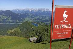 Kitzbühel - Hahnenkamm / Streif - im Sommer