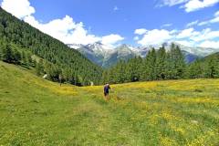 Wanderung in den Südtiroler Bergen