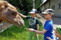 Im Tierpark