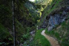 Wildromantische Burggrabenklamm bei Unterach, am Weg zum Schwarzensee