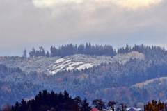 Das erste Weiss im Hausruckwald - Noch etwas zaghaft, aber es wird bald noch mehr werden