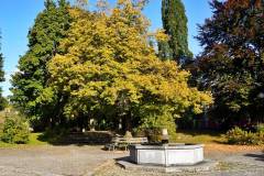 Der Dorfbrunnen von Bruckmühl