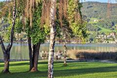 Landschaft am Mondsee - Schwarzindien