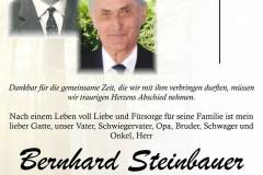 25_2_steinbauer_bernhard