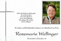 4_3_wellinger_rosemarie