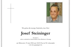 19_6_steininger_josef